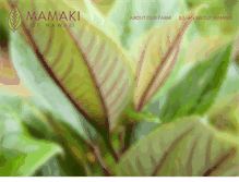Tablet Screenshot of mamakiofhawaii.com